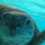 13181245_1120138201376396_1120083336_a