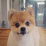 11123861_687019771427739_1553740204_a