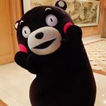 12912343_1668064286765939_156095158_a