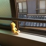 12797809_1526258787676511_332712112_a