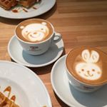 12070847_997413290301742_1663988194_a