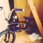 11017579_1798329713726445_1470732408_a