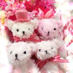 12558267_1239121946104940_309883059_a