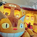 13102513_701266203348927_1244851507_a