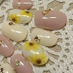 12976526_1730230157261825_1861543743_a