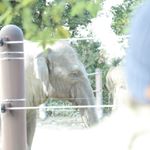 1169253_1072990572764516_325738314_a