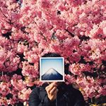 12750342_1513548588951202_1912521974_a