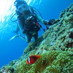 13108740_156659924736184_1353486092_a