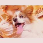 12965637_835227426608263_518702418_a