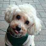 11116900_676122242534448_793992924_a