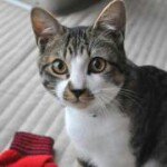 11917907_865421446885350_1890983273_a