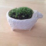 11008006_1431351110491160_3568448_a