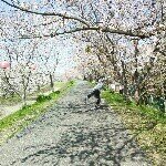 11821789_527911114029622_253899667_a