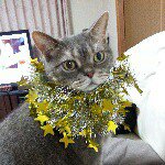 11024425_1116677815025984_265827287_a