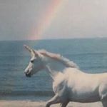 13109008_589060354606161_259145687_a