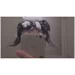 12501579_1083678131694260_456239805_a