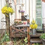 10643972_591740087644705_819293664_a