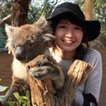 13108755_1093144687412386_39053970_a