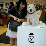 10684003_1500963180143080_451323359_a