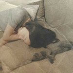 11875532_859386214139998_520073937_a