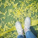 13167397_1758978051005778_430157470_a