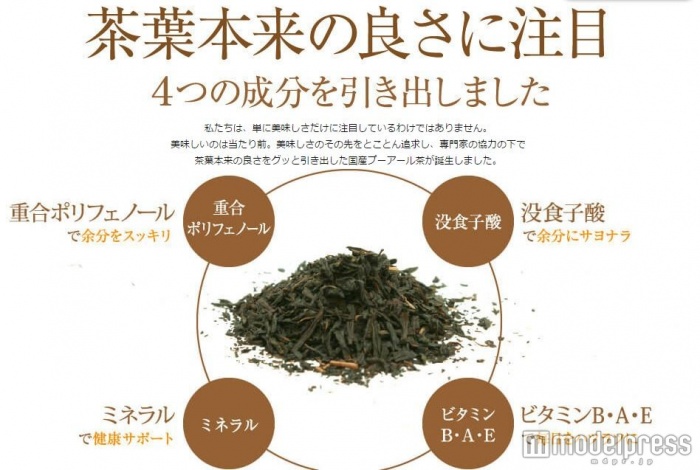 美味しさだけではなく、茶葉本来のパワーもある