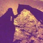 12677544_1007988285947184_648066221_a