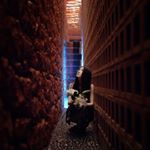 12976538_1790855427810549_119801036_a