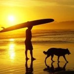 11324899_887912134623811_1560897089_a