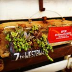 12749846_1753475314882121_1695656517_a