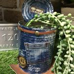 12338920_1488939441414088_1206971087_a