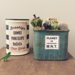 11352908_1600704390188722_1433734483_a