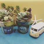 10865159_873101669436692_598938703_a