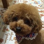 10593420_1666065893656252_1327708619_a