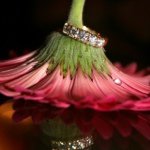 1538405_483774105116148_1339600309_a