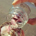 12331729_816736328431968_2021503009_a