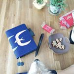 12362642_802383596540697_1757367507_a