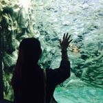 13269537_931955886916744_154063027_a