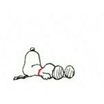 13285475_160851970984524_826503476_a