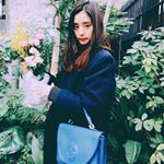 12907221_933211390110365_935101415_a