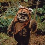 13166862_1612403212415732_1247582681_a