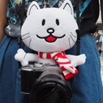 12501864_147508742312872_416466474_a