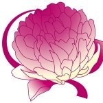 10542751_304669616381358_1264336171_a