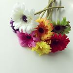 10838872_449213181940212_250755133_a