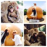 13181519_1596419840672498_450290920_a