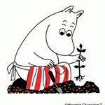 10431921_1005955942782426_1107400872_a