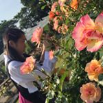 13285494_1576965819268839_1031410904_a