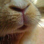 10547276_729484817117959_455358925_a