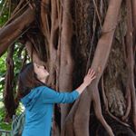 13269604_1085106711567860_1944114236_a