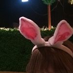 12357482_566816330136648_812642790_a